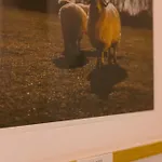 Apartmán Simplicity Universitate Bukurešť