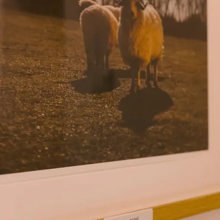 Apartment Simplicity Universitate Bucharest