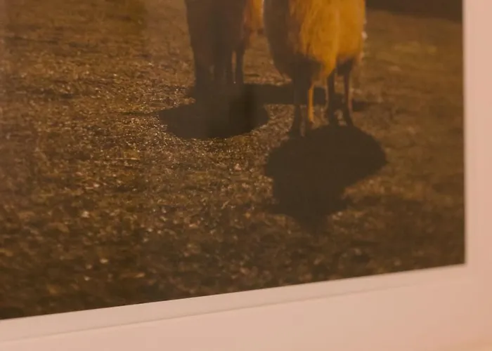 Apartment Simplicity Universitate Bucharest